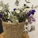 Taima Flats 3 アパート アリカンテ