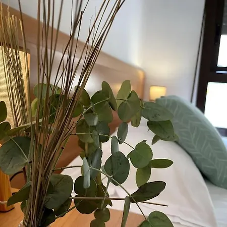 Taima Flats 3 * Alicante